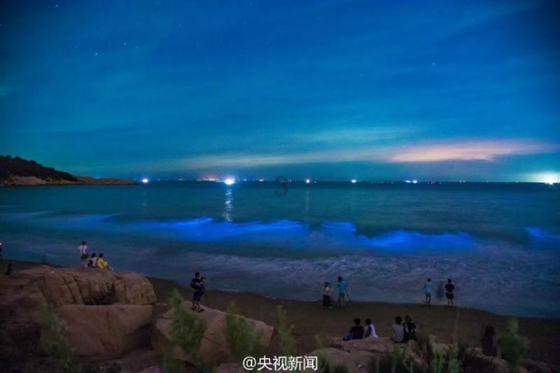 发现冷知识!